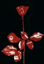 Vladko