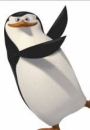 SKIPPER