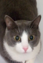 ��� ����
