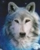 SteppenWolf