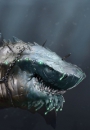 Nautilus